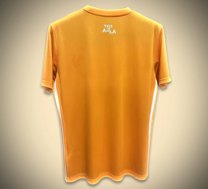 Maillot concept Algérie édition orange saison 2024 2025 tenue de football