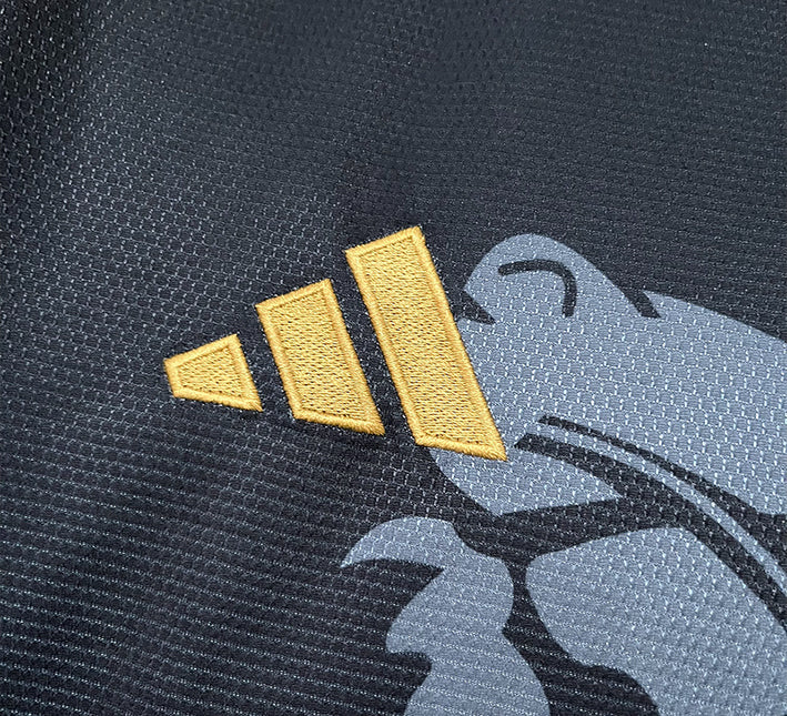 Koncepttröja Aston Villa Drake Utgåva 2425