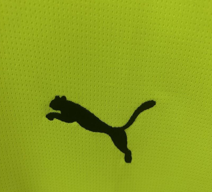 Konceptfotbollströja Borussia Dortmund Grön Edition 2024-2025 tygdetailj
