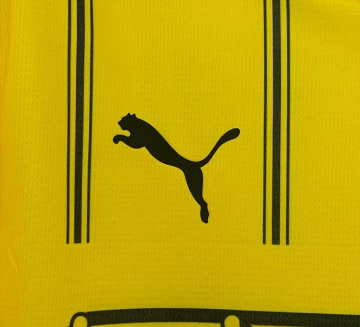officiell t-shirt Borussia Dortmund säsong 2425