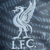 Maillot Liverpool Gardien 2425