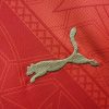 vetement-sportif-maroc-domicile-2425 sportkläder Marocko hemmatröja 2425