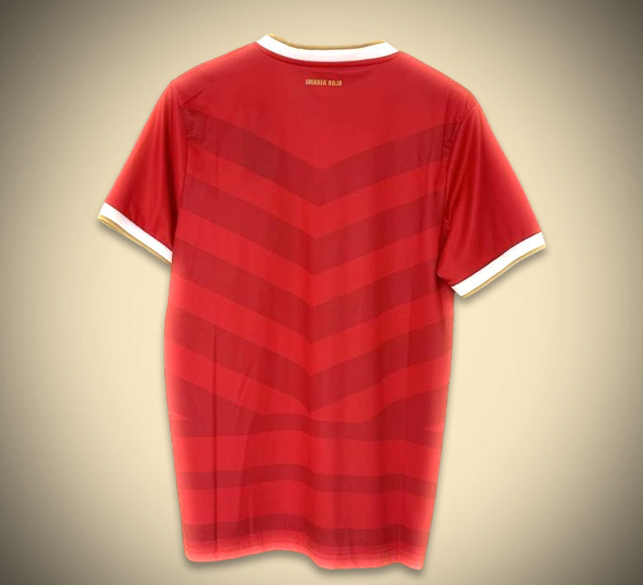 maillotpanamahomedos.jpg Panama Hemmatröja 2024 bakifrån