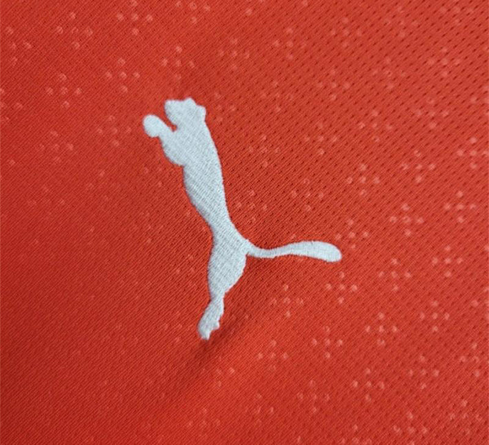 maillotportugaldomicilepuma.jpg Portugal hemmatröja 2024-2025 tygdetalj