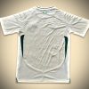 maillotsaudiexterieurdos.jpg Saudiarabien bortatröja 2024-2025 sedd från sidan