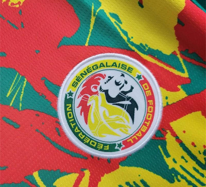 Senegal Matchuppvärmningströja 2024 från sidan