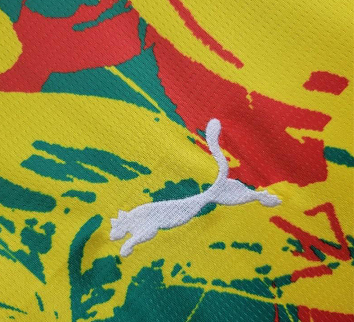 Senegal Matchuppvärmningströja 2024 bakifrån