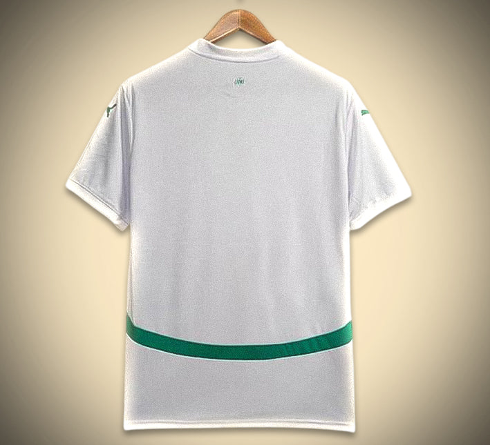 maillotsenegaldomiciledos.jpg Senegal Hemmatröja 2024 bakifrån