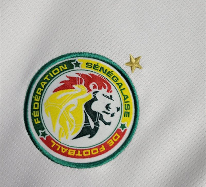 maillotsenegaldomicilelogo.jpg Senegal Hemmatröja 2024 från sidan