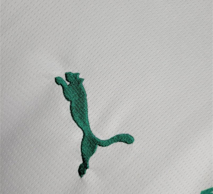 maillotsenegaldomicilepuma.jpg Senegal Hemmatröja 2024 tygdetalj