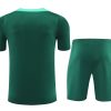 Matchset tröja och shorts Portugal säsongen 2024 2025 fotbollsställ