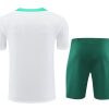ensemble-maillot-et-short-portugal-saison-2024-2025-tenue-de-football Set med tröja och shorts Portugal säsong 2024 2025 fotbollskläder