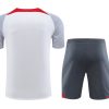 ensemble-training-liverpool-blanc-et-gris-saison-vingt-vingt-trois-vingt-vingt-quatre vitt och grått Liverpool träningsställ säsong tjugo tjugotre tjugo tjugofyra