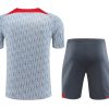 ensemble-training-liverpool-gris-saison-2023-2024-survetement-officiel grå Liverpool träningsställ säsong 2023 2024 officiell träningsoverall
