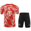 KIT TRAINING BAYERN MUNICH ROUGE 2 20232024