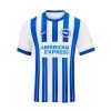 MAILLOT BRIGHTON DOMICILE 20242025
