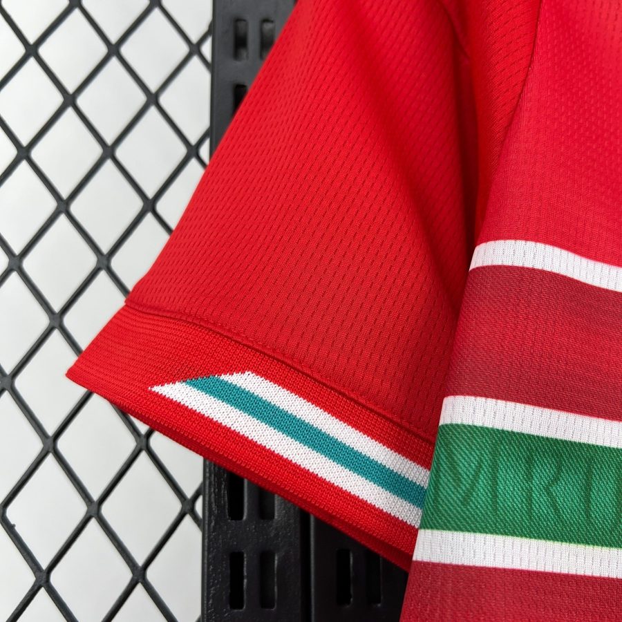 maillot-domicile-du-pays-de-galles-saison-2026-rouge-officiel Wales hemmatröja säsongen 2026 röd officiell