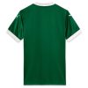 Maillot domicile Palmeiras saison 2025 jersey officiel vert et blanc