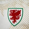 maillot-exterieur-pays-de-galles-2026 Wales Bortatröja 2026