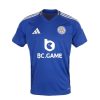 HEMMATRÖJA LEICESTER CITY 20242025