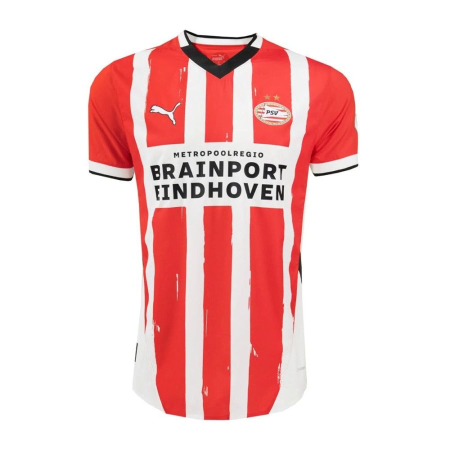PSV HEMMATRÖJA 20242025