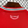 maillot-supporter-pays-de-galles-2026-pour-match-a-domicile Wales supportertröja 2026 för hemmamatcher