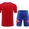tenue-entrainement-bayern-munich-rouge-et-bleu-saison-2023-2024 träningsställ Bayern München röd och blå säsongen 2023 2024