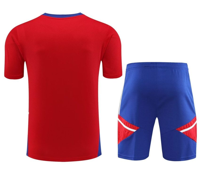 tenue-entrainement-bayern-munich-rouge-et-bleu-saison-2023-2024 träningsställ Bayern München röd och blå säsongen 2023 2024