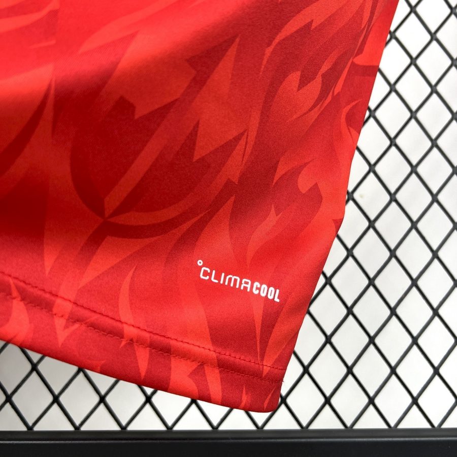 Officiell matchtröja Belgiens röda djävlar hemma 2026