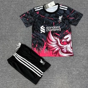 Liverpool 2025/26 Barn Special Edition