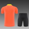 Maillot Brésil Training 2026 Adult