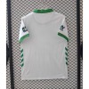 1491e61414b716f2fd14488ee69aecfc.jpg Saint-Etienne Hemmatröja 2026/27