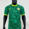 Senegal Bortatröja Grön CAN 2025-26