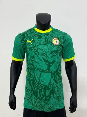 Senegal Bortatröja Grön CAN 2025-26
