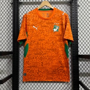 1b9f465dcfe822daeeaa35d7dda32214.jpg Fotbollströja Elfenbenskusten 2025/26 Specialutgåva