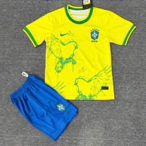 1c08dc743cec105527fa501074186284.jpg Brasilien 25/26 Barn Bird Yellow