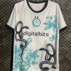 Fotbollströja Inter Milan 2024/25 Special Orm