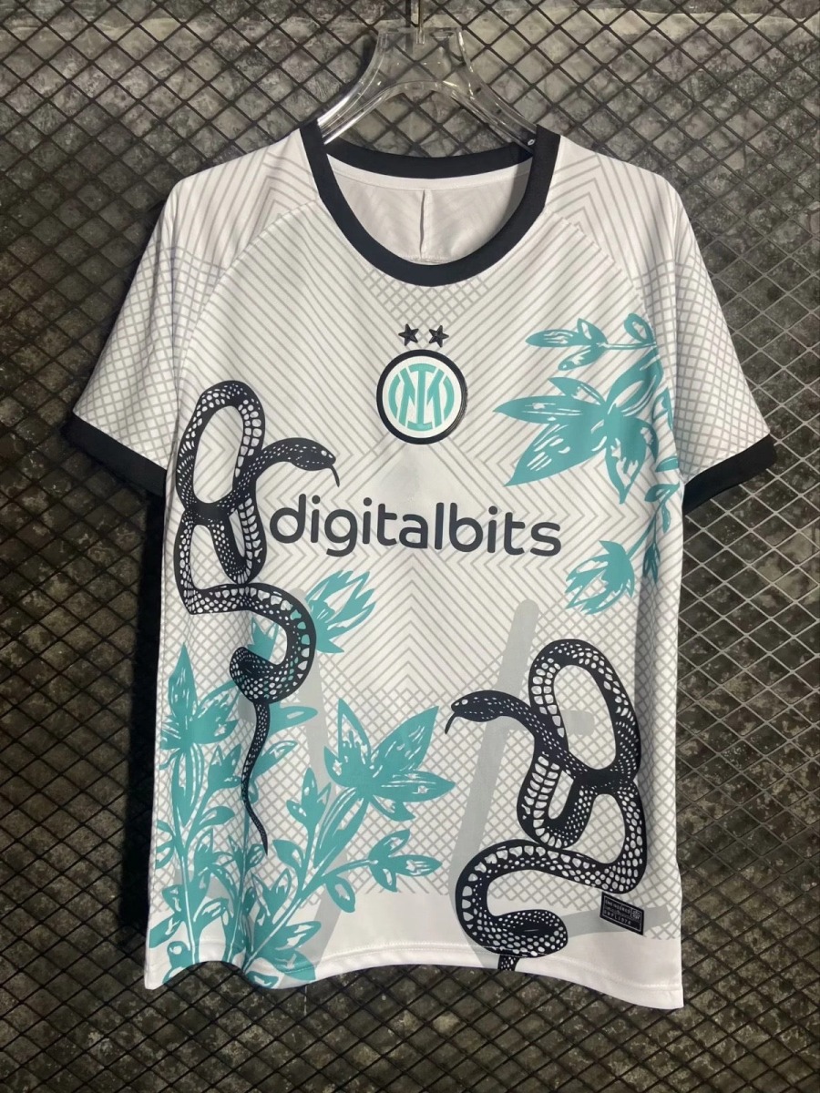 Fotbollströja Inter Milan 2024/25 Special Orm
