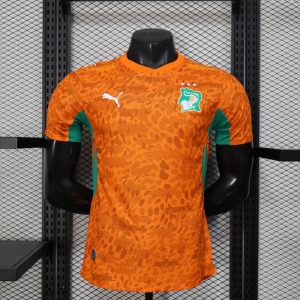 2a5c0d417d0952fb7ccddecf2a656d1f.jpg Fotbollströja Elfenbenskusten 2025/26 Player