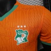 Fotbollströja Elfenbenskusten Hemma Orange CAN 2025-26
