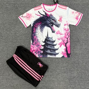3b36d7d56b58e1309b4dedb2e994584f.jpg Japans Fotbollströja 2025/26 Barn Special Edition Drake