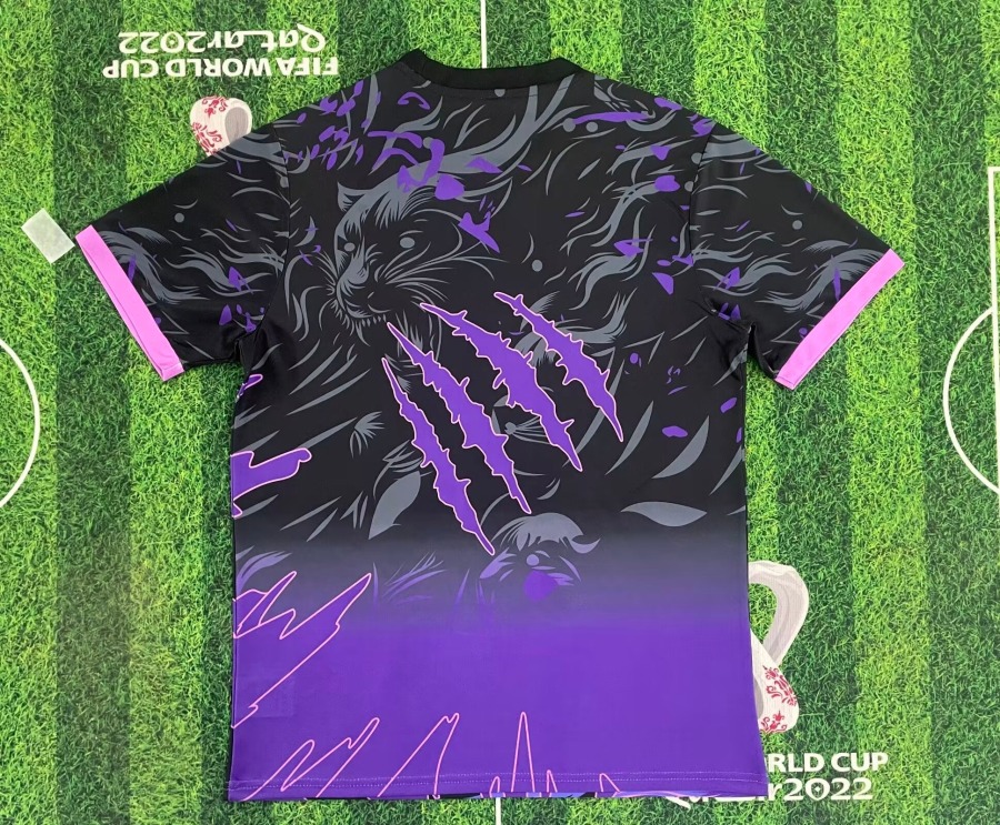 Fotbollströja Brasilien Special Edition Violet 2025/26