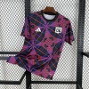Maillot Lyon Entraînement 2025-26