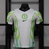 Fotbollströja Nigeria Borta VM 2026