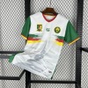 Fotbollströja Kamerun CAN 2025-26