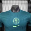 Nigeria Concept Tröja 2025