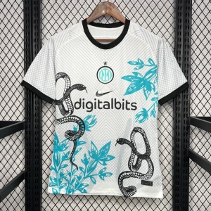 Fotbollströja Inter Milan 2024/25 Special Orm