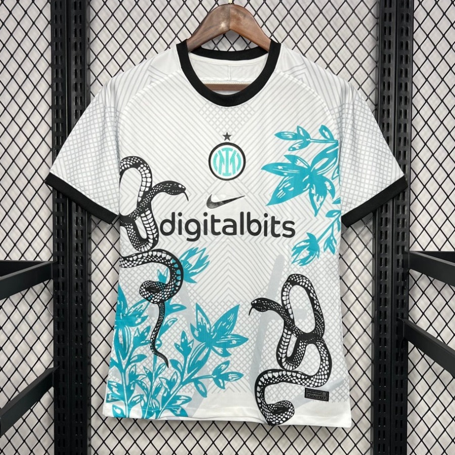 Fotbollströja Inter Milan 2024/25 Special Orm
