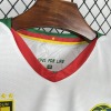 Fotbollströja Kamerun CAN 2025-26