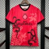 Fotbollströja Inter Milan 2024/25 Special Edition Rosa Orm